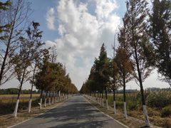 -嘉北郊野公园