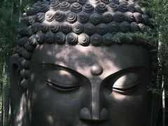 -杭州植物园