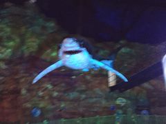 -青岛嘉年华主题乐园