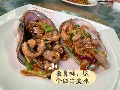 -四姑娘川味海鲜(八爪鱼店)
