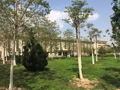 -南开大学滨海学院