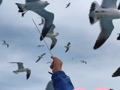 -海驴岛(荣成市)