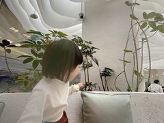 -大树餐厅(朝阳大悦城店)
