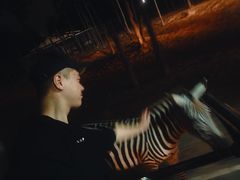 -清迈夜间动物园