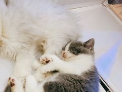 -铜锣湾国际购物中心