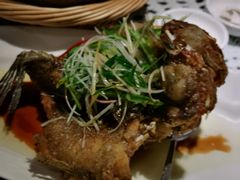 啫啫龙趸鱼-熠盛粤味·顺德桑拿鸡(永康路店)