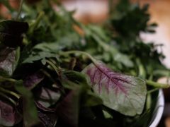 自助蔬菜-亮欢寨(凯里总店)