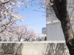 -龙美术馆(西岸馆)