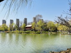 -青枫公园