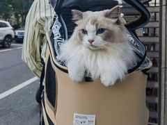 -萌兽医馆·宠物医院·猫骨科(创景店)