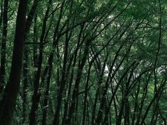 -西溪南古村落景区