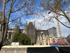 -巴黎圣母院