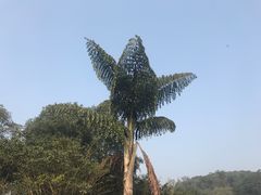 -西南交通大学(峨眉校区)