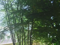 -金丰大酒楼