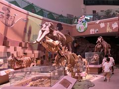 -陕西自然博物馆