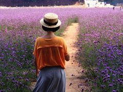 -紫海香堤香草艺术庄园