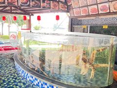 -顺德了能馆(虎门店)