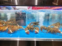 -盒马鲜生(观音桥店)