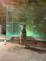 -酷嗒动物文化乐园(cutezoo西溪乐天城店)