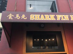 -食为先(Shark Fin)