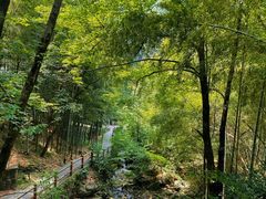 -藏龙百瀑风景区