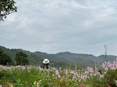 -舒家湾天主教堂