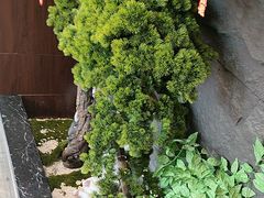 -俏东方·海味水饺·青岛菜(崂山店)