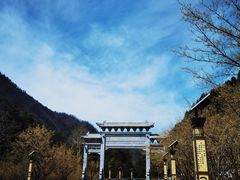 -黑河国家森林公园