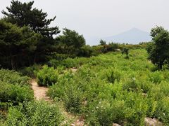 -北京鹫峰国家森林公园