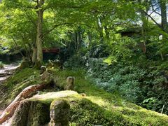 -三千院