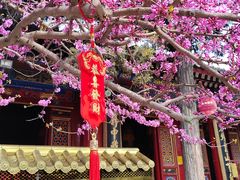 -西安市广仁寺