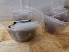 -长白街手工水饺(秣陵路店)