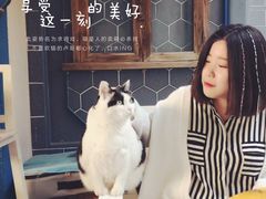 -Anne猫窝咖啡屋