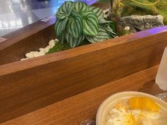 -糖糖屋•糖水•雪花冰店(时尚天河店)