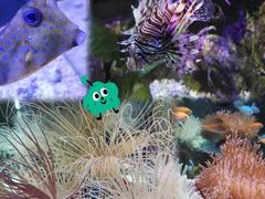 -太平洋海底世界