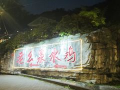 -老幺泉水鸡