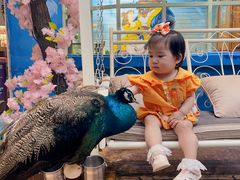 -杭州开元森泊度假乐园