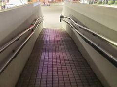 -武钢体育中心恒温游泳馆