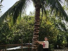 -西双版纳傣族园