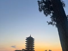 -缙云山景区