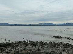 -深圳湾公园(南山区)
