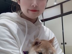 -逗柴咖啡屋·狗咖猫咖宠物桌游