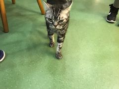 -藦茜花园宠物主题亲子互动体验馆(国顺东路店)