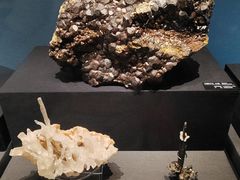 -山东博物馆