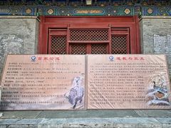 -白云观