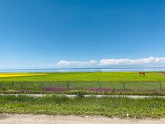 -青海湖国家重点风景名胜区