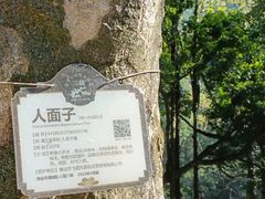 -飞霞风景名胜区