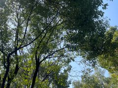 -湖南省立第一师范学校旧址