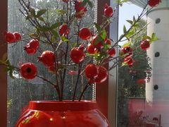 -点都德(广州白云山景区南门店)