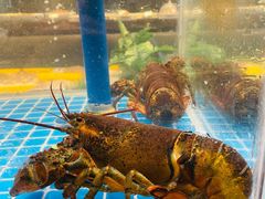 -田园居·佳宴(桑田路店)